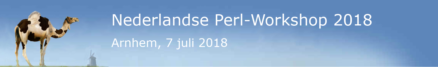 The Dutch Perl Workshop 2018